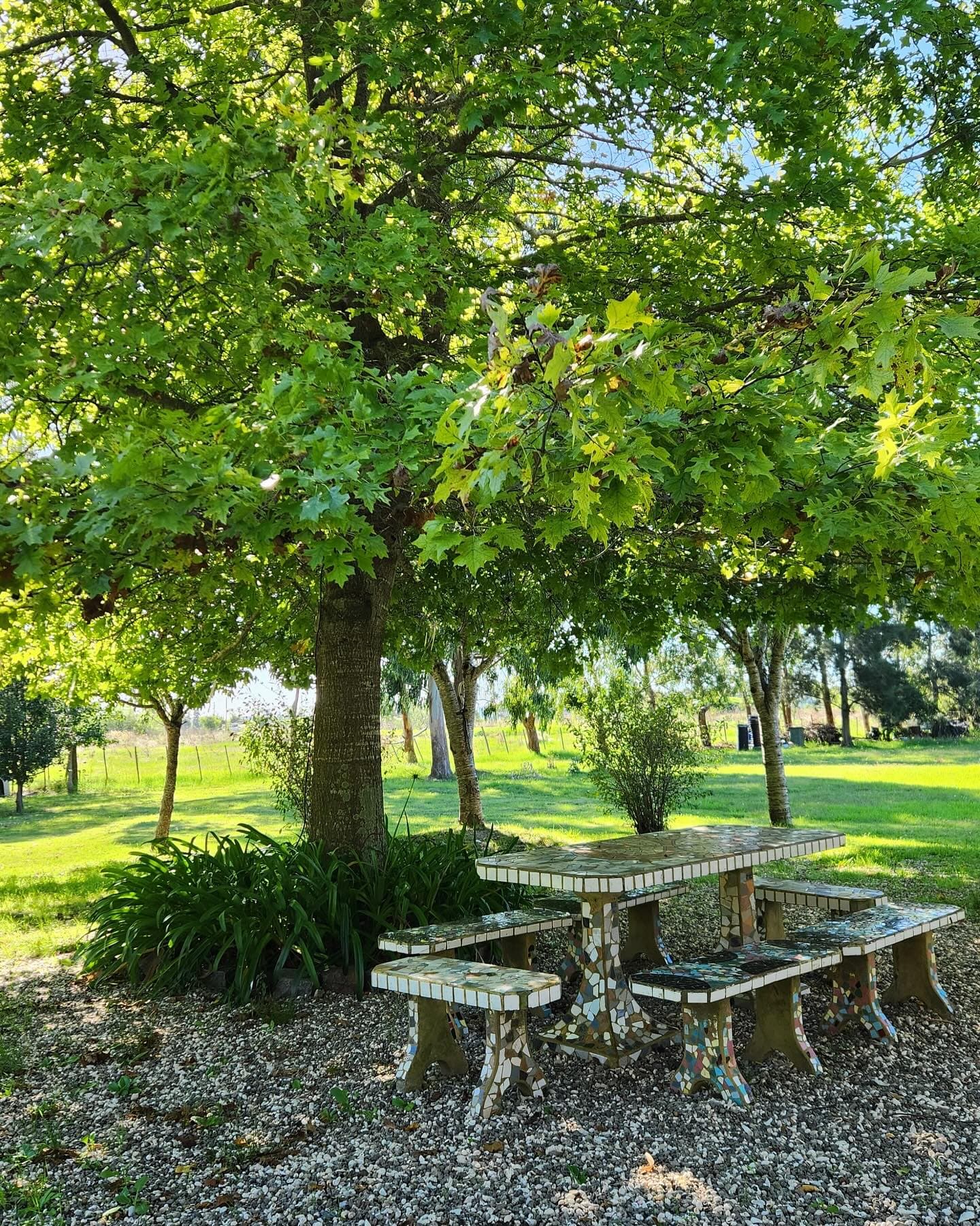 Mesa preparada bajo el árbol